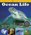 Visual Explorers: Ocean Life