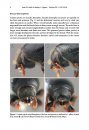ZooKeys 450: A Taxonomic Monograph of Nearctic Scolytus Geoffroy (Coleoptera, Curculionidae, Scolytinae)