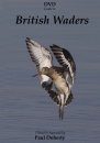 DVD Guide to British Waders (All Regions)