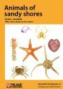 Animals of Sandy Shores