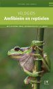 Veldgids Amfibieën en Reptielen [Field Guide to Amphibians and Reptiles]