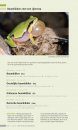 Veldgids Amfibieën en Reptielen [Field Guide to Amphibians and Reptiles]