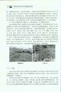 Survey and Study on the Alien Invasive Species in the Nature Reserves of the Coast Areas in China [Chinese]