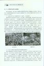Survey and Study on the Alien Invasive Species in the Nature Reserves of the Coast Areas in China [Chinese]