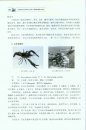 Survey and Study on the Alien Invasive Species in the Nature Reserves of the Coast Areas in China [Chinese]