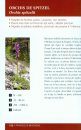 Chercheurs d'Orchidées [Field Guide to Orchids]
