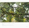 Diverse Forests of China [English / Chinese]