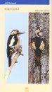 Die Vögel Mitteleuropas Sicher Bestimmen [Identifying the Birds of Central Europe with Confidence] (2-Volume Set)