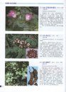 Coloured Illustrations of the Trees in Fujian Province [Chinese]