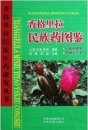 Field Guide of Folk Medicine in Shangri-La [Chinese]