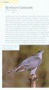 American Birding Association Field Guide to Birds of Pennsylvania