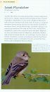 American Birding Association Field Guide to Birds of Pennsylvania