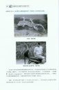 Survey and Study on the Important Wild Animals in the Karst Regions of Southwest China [Chinese]