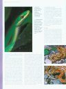 Tous les Serpents du Monde [The New Encyclopedia of Snakes]