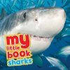 My Little Book of Sharks