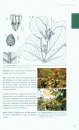 Flore de la Nouvelle-Calédonie, Volume 26: Cunoniaceae [Faune et Flore Tropicales, Volume 45]