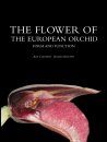 The Flower of the European Orchid