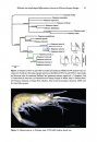ZooKeys 457: Proceedings of the Summer Meeting of the Crustacean Society and the Latin American Association of Carcinology, Costa Rica, July 2013