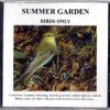 Summer Garden: Birds Only