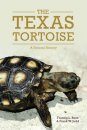 The Texas Tortoise