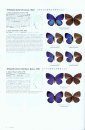 The Butterflies of Thailand, Volume 2: Lycaenidae [English / Japanese]