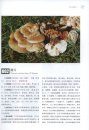 A Field Guide to Antitumor Medicinal Fungi in China [Chinese]