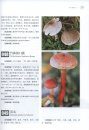 A Field Guide to Antitumor Medicinal Fungi in China [Chinese]