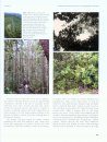 On the Forests of Tropical Asia