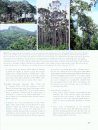 On the Forests of Tropical Asia