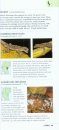 A Photographic Guide to Snakes, Other Reptiles and Amphibians of East Africa