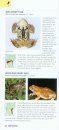 A Photographic Guide to Snakes, Other Reptiles and Amphibians of East Africa
