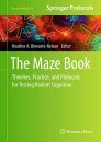 The Maze Book