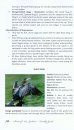 Birds of New Zealand: Locality Guide