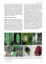 Fungal Pathogens of Food and Fibre Crops
