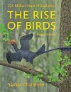 The Rise of Birds
