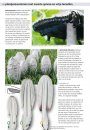 Eetbare Paddenstoelen: Vindplaatsen, Herkenning, Verzamelen en Bereiden [Edible Mushroom: Locations, Identifications, Collection, and Preparation]