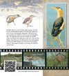 Mijn Reigerparadijs: Vogels Zien, Beleven en Tekenen [My Heron Paradise: Seeing, Believing and Drawing Birds]