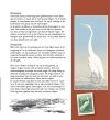 Mijn Reigerparadijs: Vogels Zien, Beleven en Tekenen [My Heron Paradise: Seeing, Believing and Drawing Birds]