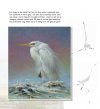 Mijn Reigerparadijs: Vogels Zien, Beleven en Tekenen [My Heron Paradise: Seeing, Believing and Drawing Birds]