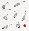 Mijn Reigerparadijs: Vogels Zien, Beleven en Tekenen [My Heron Paradise: Seeing, Believing and Drawing Birds]