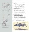 Mijn Reigerparadijs: Vogels Zien, Beleven en Tekenen [My Heron Paradise: Seeing, Believing and Drawing Birds]