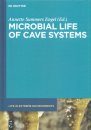 Microbial Life of Cave Systems