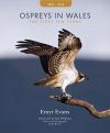 Ospreys in Wales
