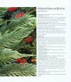 The Plant Lover's Guide to Ferns