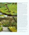 The Magical World of Moss Gardening