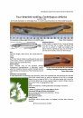 Identification Guide to the Inshore Fish of the British Isles