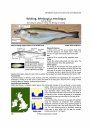 Identification Guide to the Inshore Fish of the British Isles