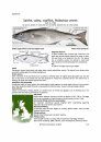 Identification Guide to the Inshore Fish of the British Isles