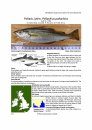 Identification Guide to the Inshore Fish of the British Isles