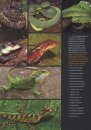Rapid Biological Inventories, Volume 26: Péru: Cordillera Escalera-Loreto [English / Spanish]